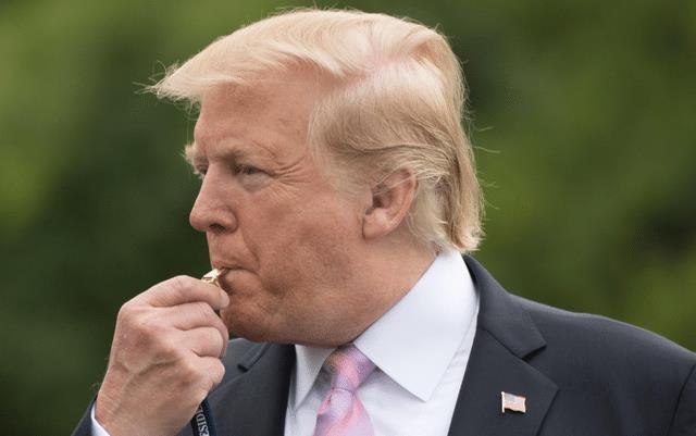 喬的明星，自然美景的心靈之旅