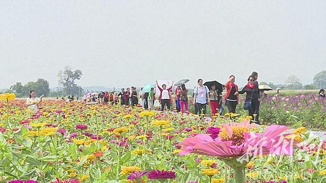 郴州明星，湘南的璀璨明珠