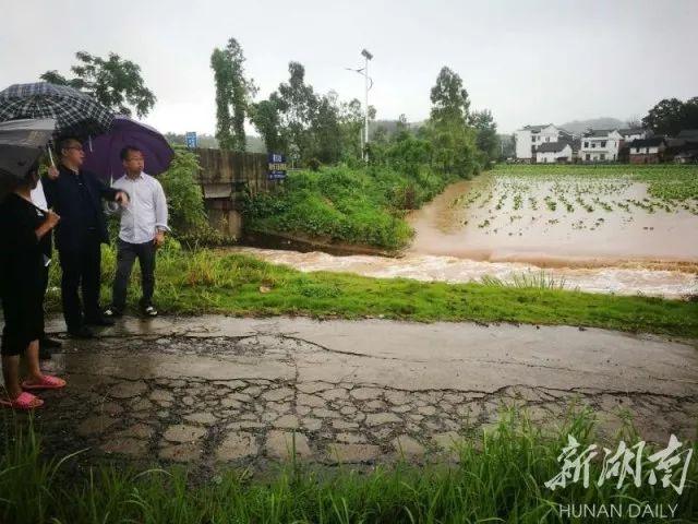 郴州明星,湘南的璀璨明珠