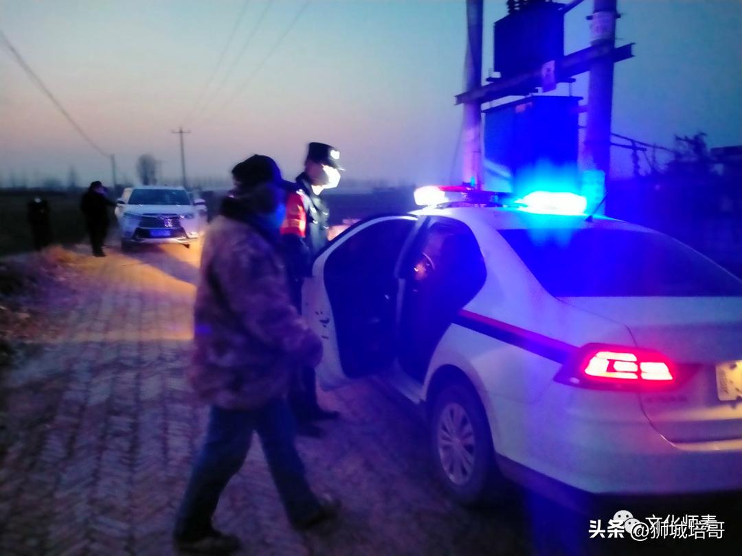 滄州玉米價格實時動態與日常故事概覽