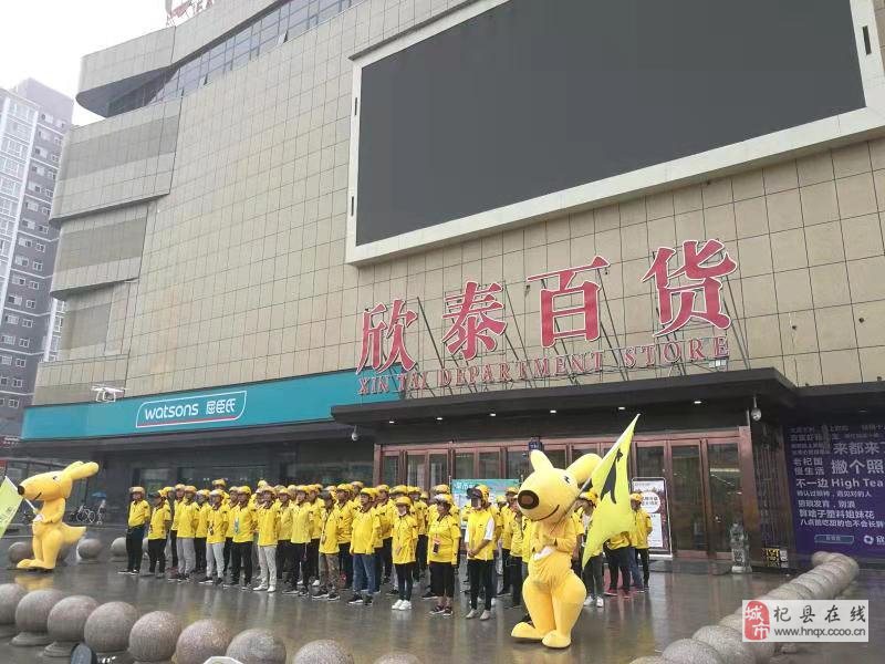 最新杞縣兼職招聘信息解析與概覽