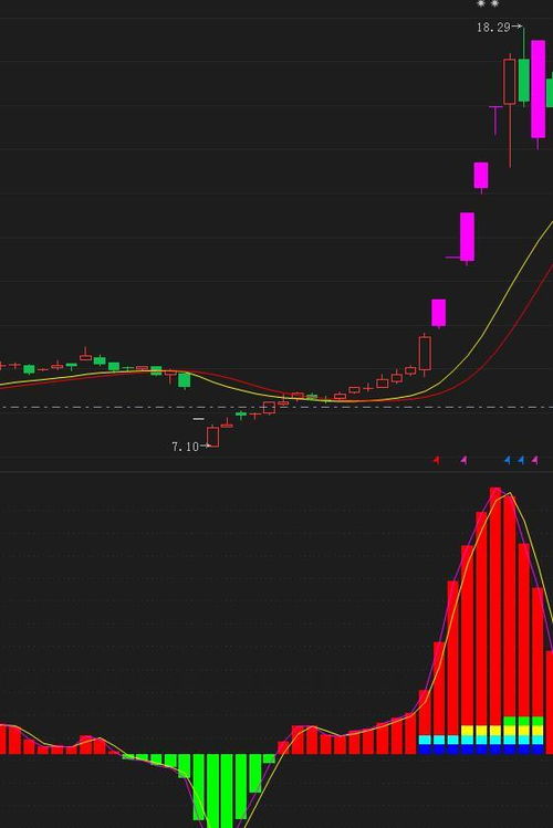 小紅書揭秘EFT股票，投資新寵，你準備好了嗎？