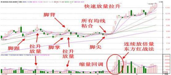 零基礎入門教程，如何解讀股票圖表????