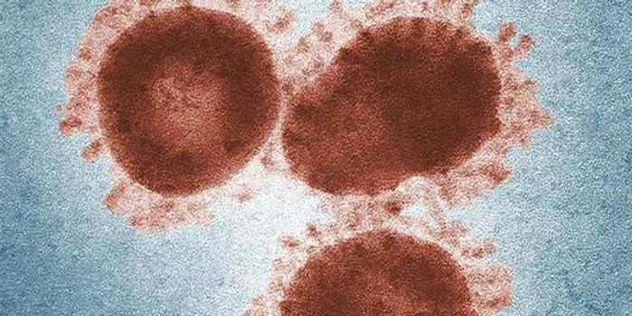 冠狀最新病毒，自然美景中的探索與挑戰(zhàn)