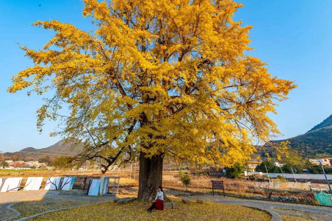 陽山最新資訊，溫馨日常與美好時(shí)光的記錄