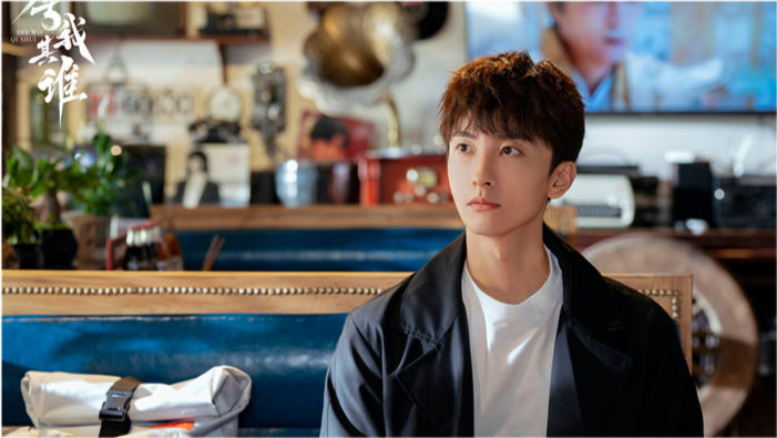 舍我其誰演員表深度解析,角色與演技探究