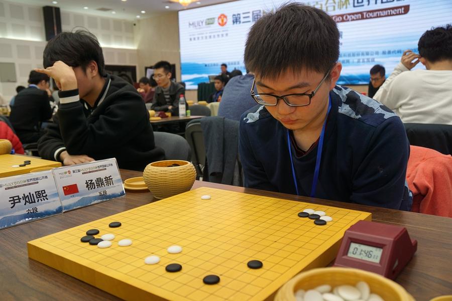 夢百合股票行情，股市故事與最新動態解析