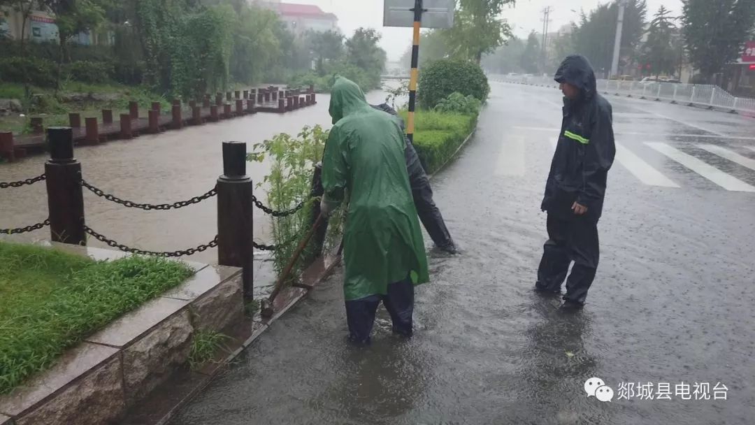 郯城事件最新動(dòng)態(tài)，小巷深處的獨(dú)特小店揭秘