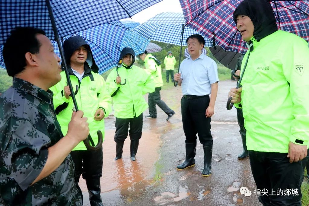 郯城事件最新動(dòng)態(tài),小巷深處的獨(dú)特小店揭秘