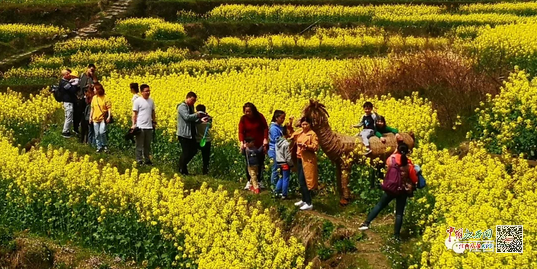 南昌灣里牛嶺最新動態與溫馨日常