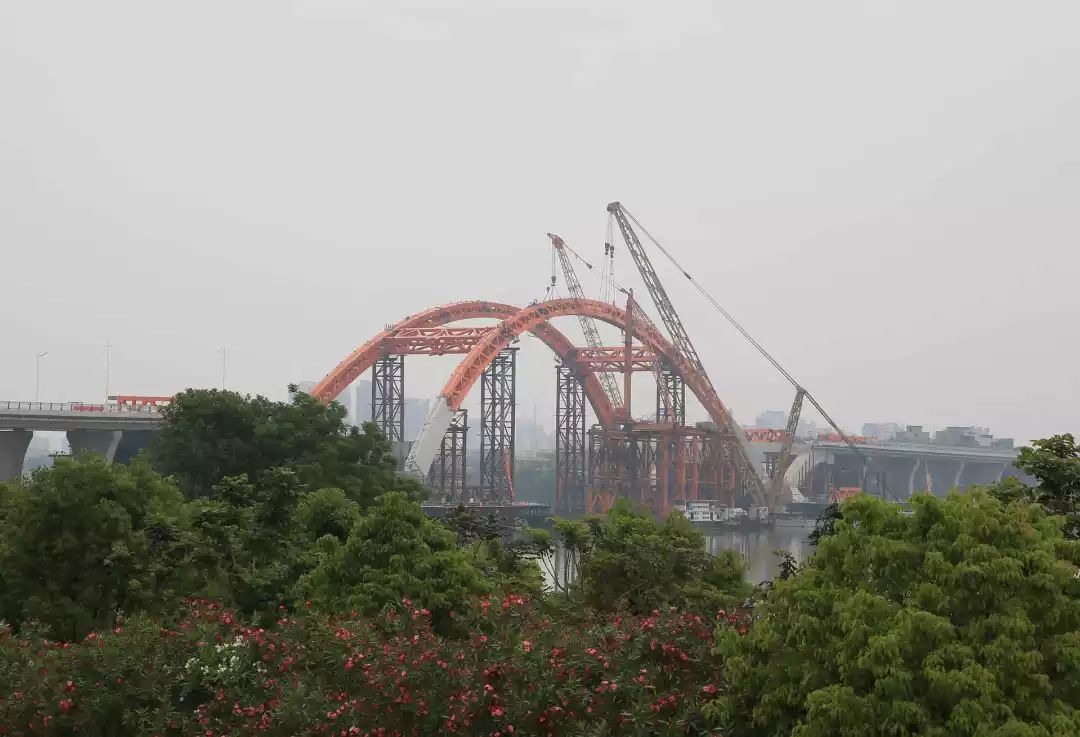 隆生大橋最新動態(tài)，橋上的奇遇與家的溫馨時光