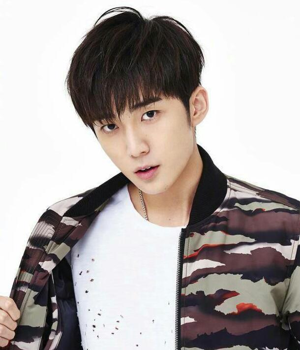 青島電影網，多維度影視平臺的深度探討