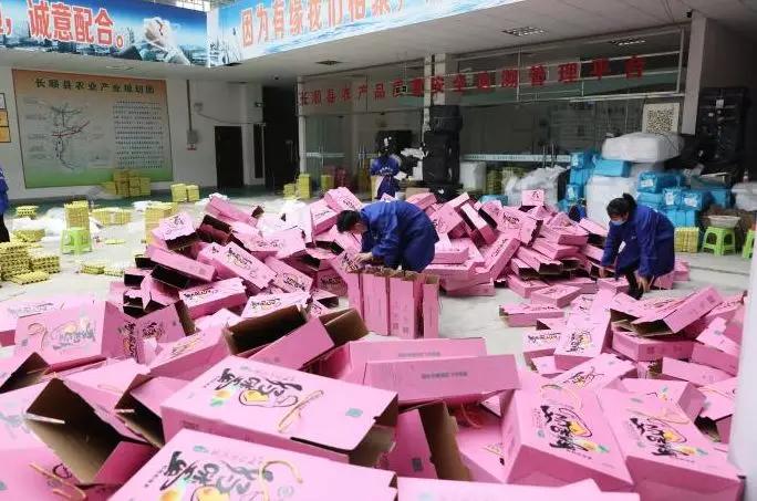 貴州雞蛋價(jià)格最新行情及分析報(bào)告