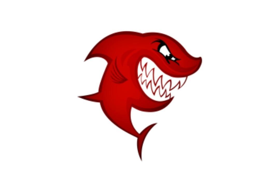 鯊魚磁力最新揭秘，海洋的秘密與友情的溫馨之旅