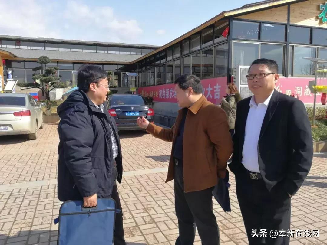 奉新人才網招聘信息全面解讀，多元職位一網打盡！