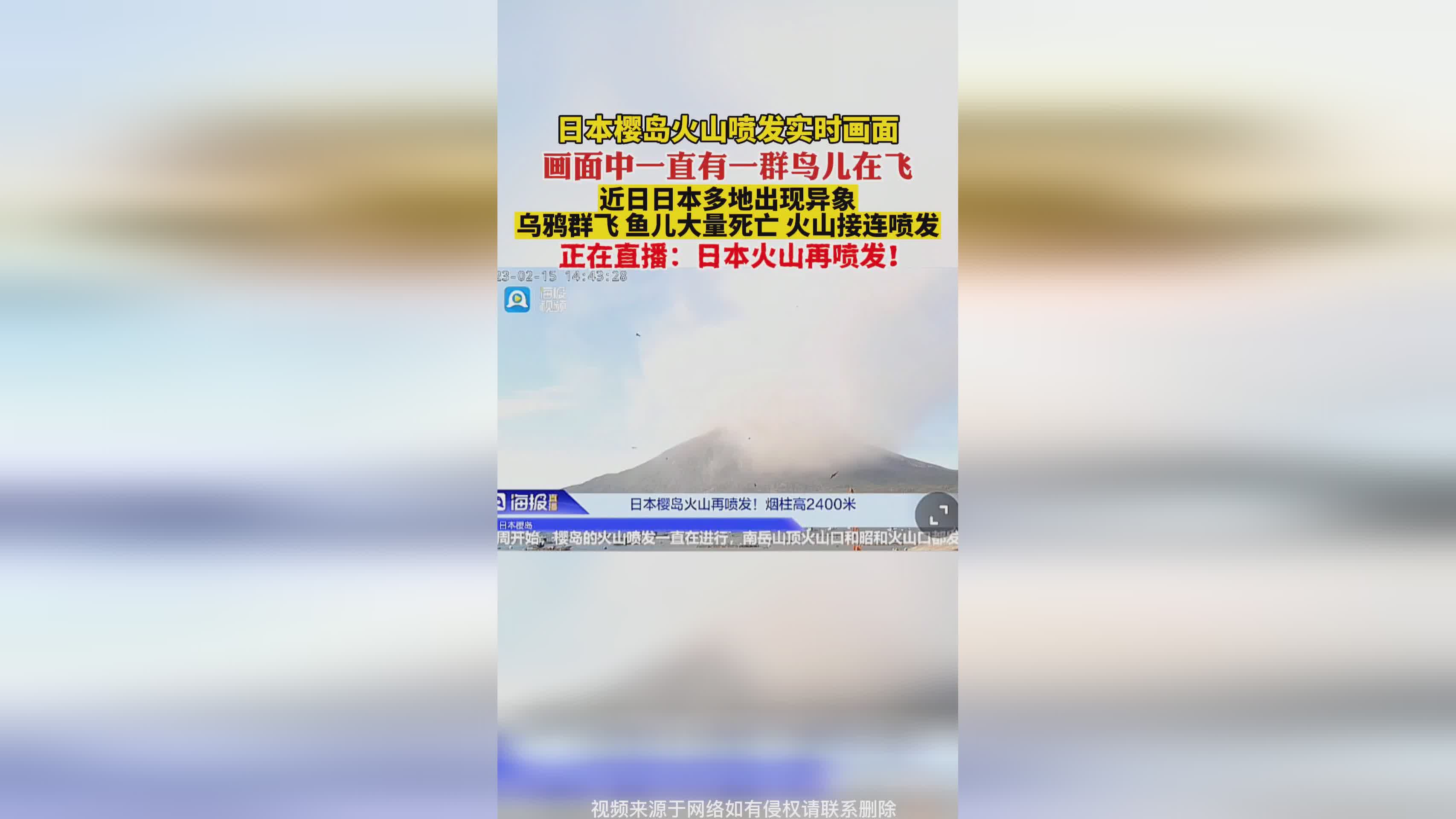 日本火山噴發(fā)實時動態(tài),自然力量的展現(xiàn)與成就感的源泉
