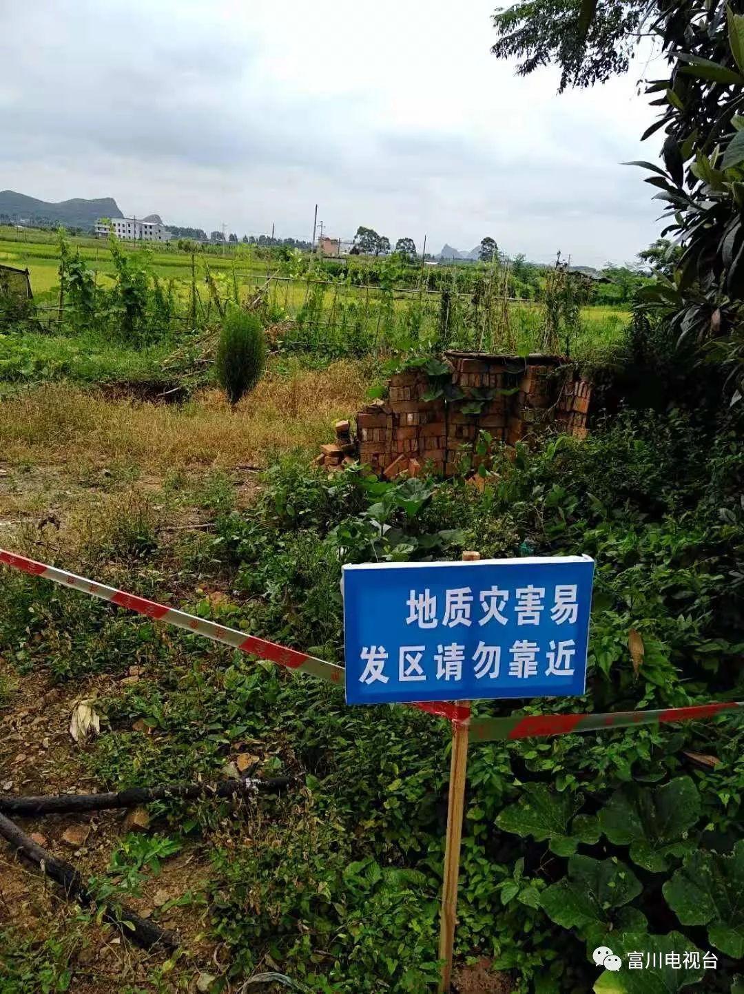 星空下的溫馨日常，天嚕啦最新精選分享