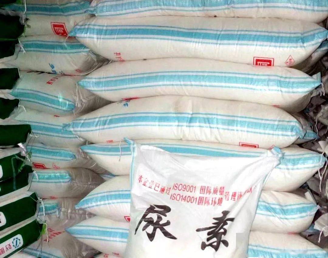 尿素近期行情深度解讀與個人立場分析