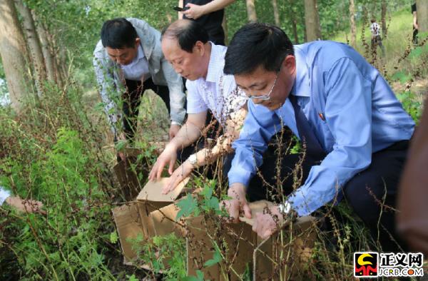 灌云最新資訊，小城溫馨日常與家的溫暖故事