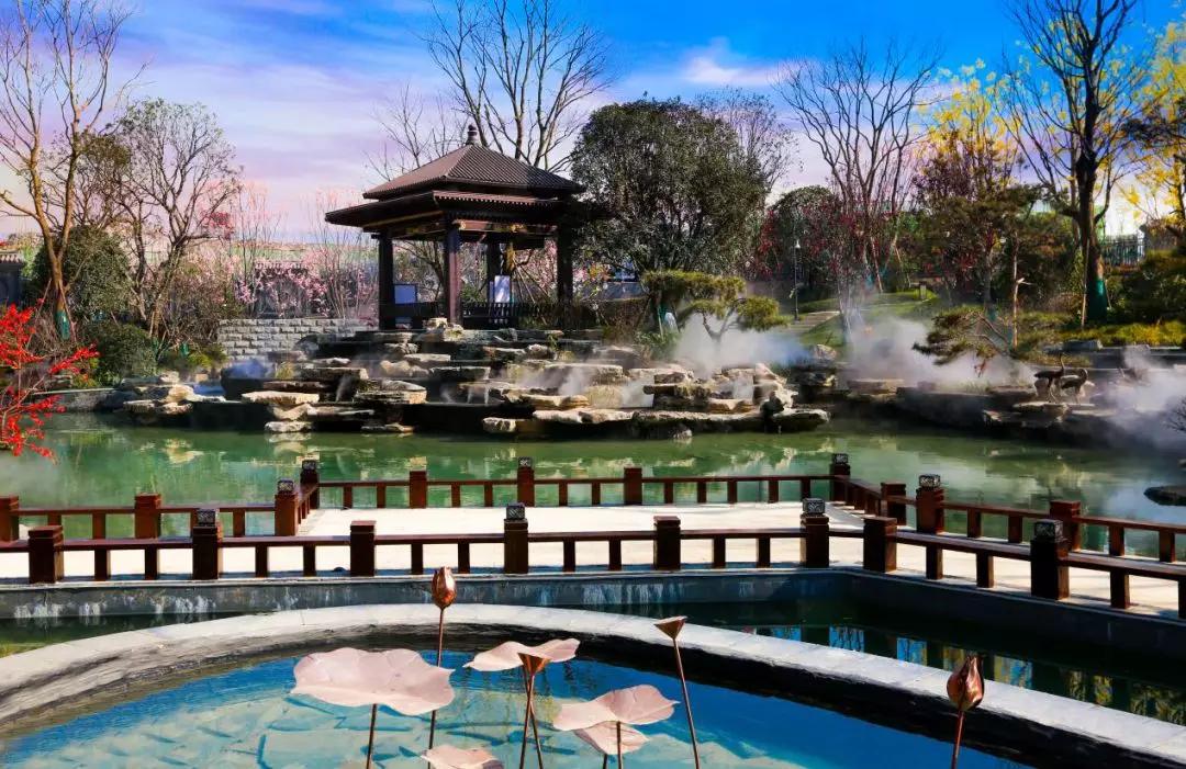 東方園林公司最新動態，變化中的學習之旅，成就感的源泉