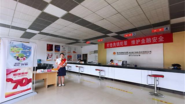 陽光保險股票投資前景及市場動態分析