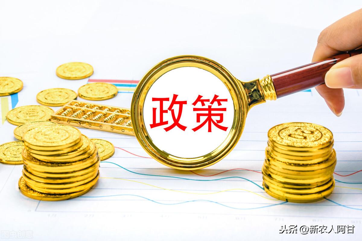 探索小巷獨特小店，最新創業用地資訊大揭秘！