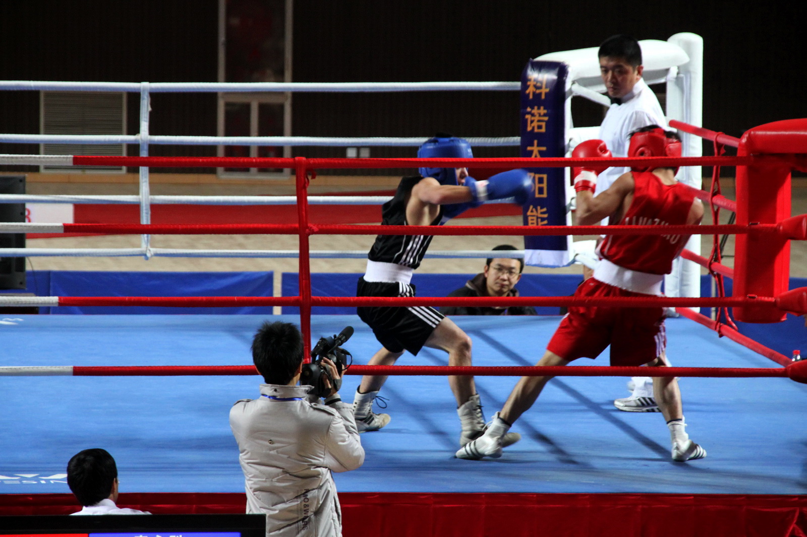 熱血沸騰的拳擊世界,最新職業(yè)拳擊賽事視頻精彩呈現(xiàn)!