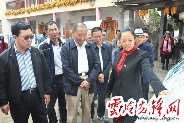 云南羅正富最新動態(tài)概覽，最新指南與進展