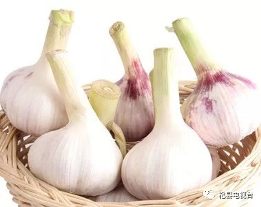 今日大蒜價格行情詳解，多方觀點分析與個人立場探討