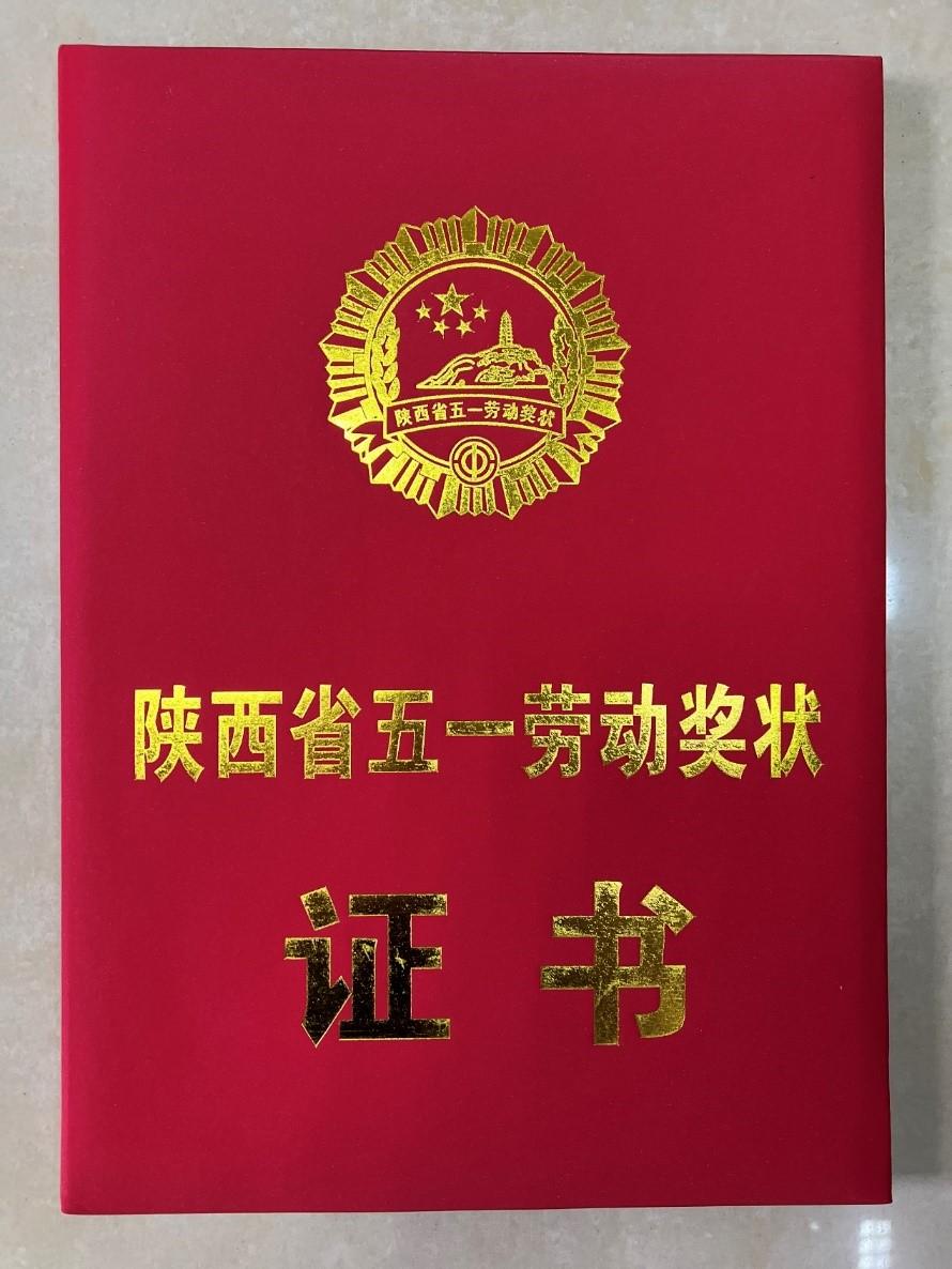 特色小店的奇妙故事,小巷中的秘密寶藏與故事比賽獎狀榮耀時刻