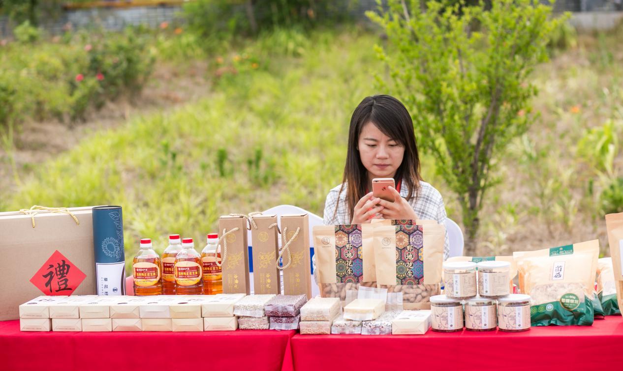 盛大發展歷程探究，現狀與發展之路