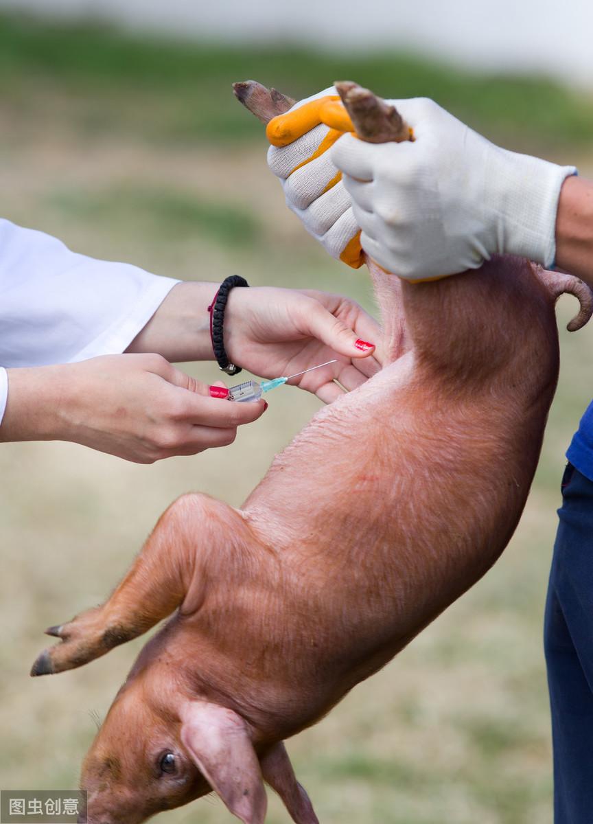 地塞米松價格查詢及獲取指南