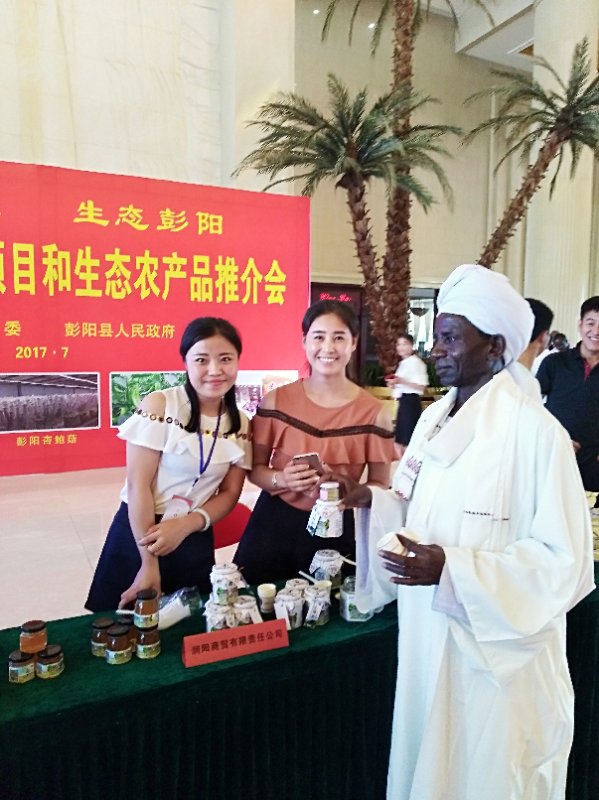 蘇丹新聞最新動態更新,最新消息匯總