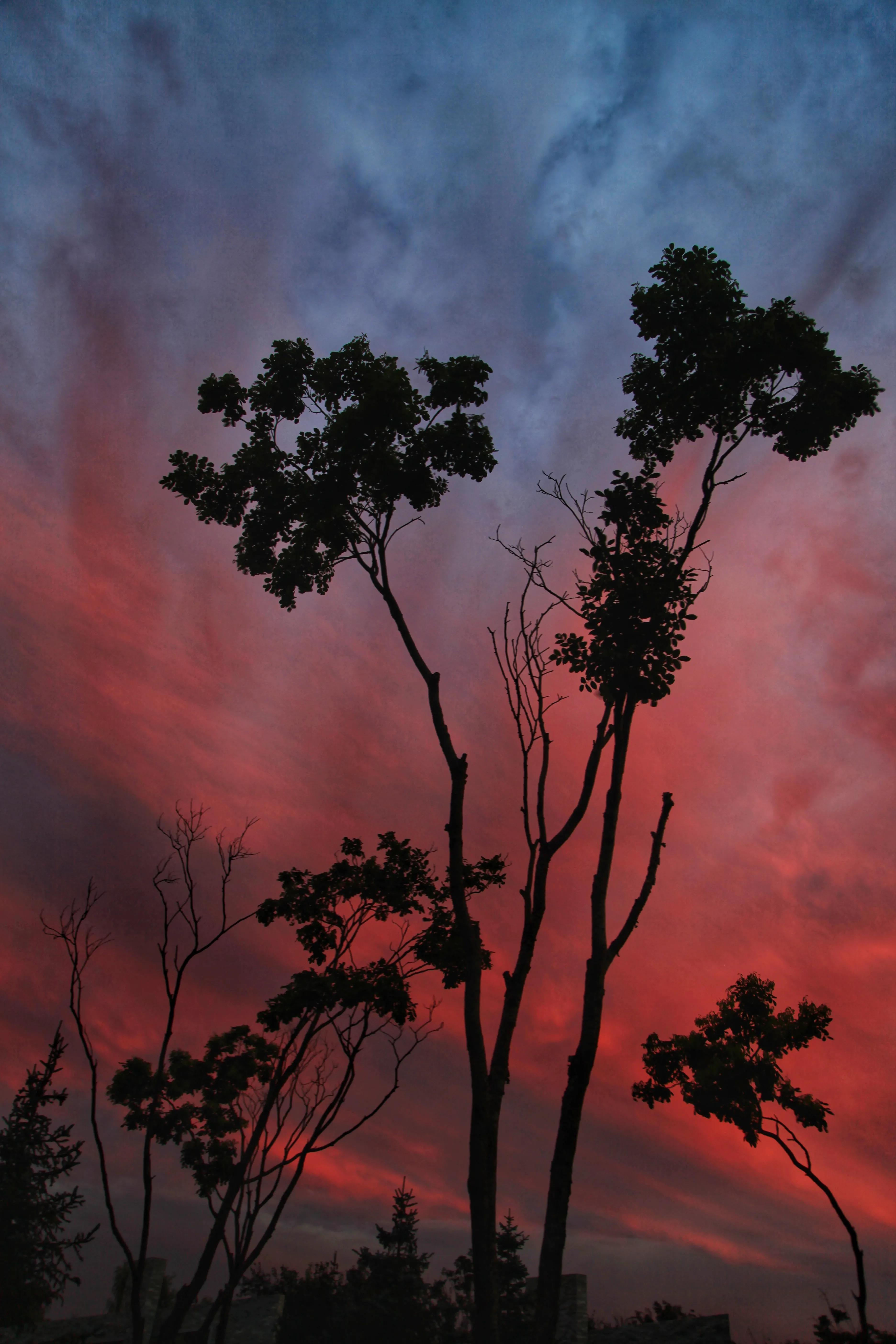 墨跡天氣最新版使用指南及功能解析