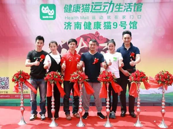 健康貓上市之路揭秘，背景、重大事件與時代地位探索