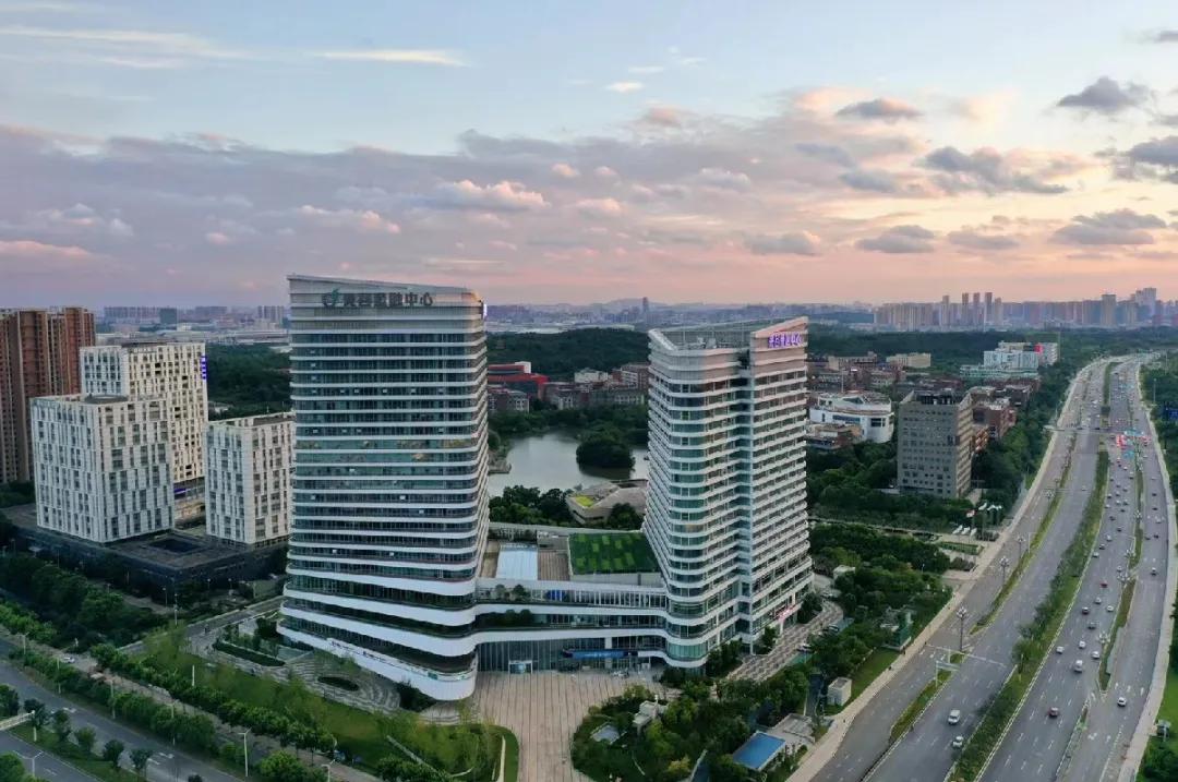 揭秘贏時勝最新動態,小巷深處的特色小店故事