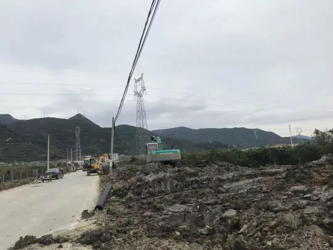 路橋區副區長任命動態揭秘，探尋小巷深處的獨特風味