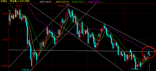 貴金屬行情深度解析,掌握分析技巧與策略