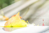 恐怖男生頭像動(dòng)漫及其創(chuàng)作指南