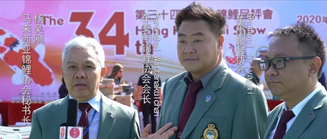 比賽錦鯉，好運降臨，迎接勝利的喜悅！