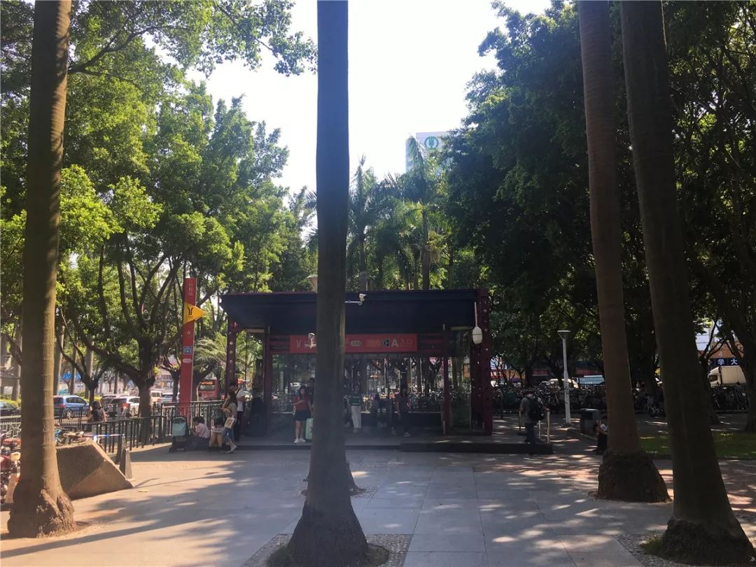 最新番禺吧美食游玩攻略，一網(wǎng)打盡的樂趣盛宴！