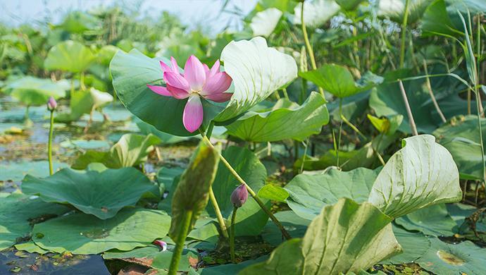 尤柔美最新變化，自信與成就感的源泉，展現(xiàn)力量的魅力