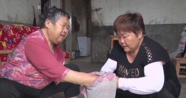 荊州最新發(fā)展動(dòng)態(tài)全解析,獲取指南與了解最新動(dòng)態(tài)