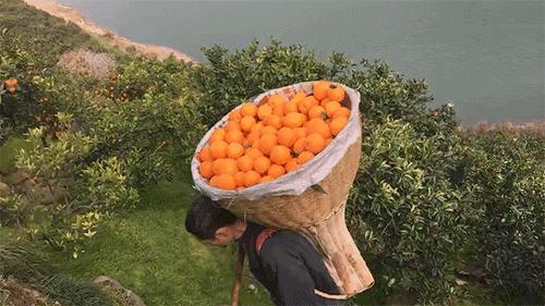 荊州最新發(fā)展動(dòng)態(tài)全解析,獲取指南與了解最新動(dòng)態(tài)