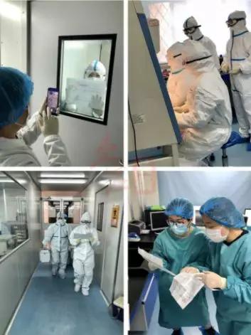 棗莊疫情最新動態(tài),自然探索之旅尋求內(nèi)心平和