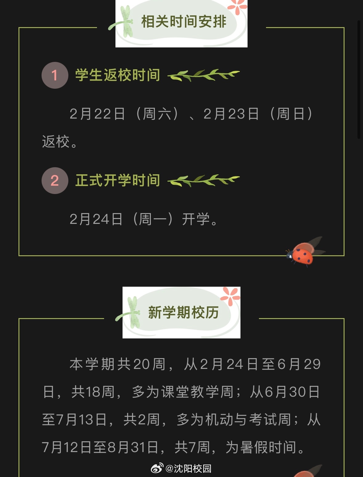 開學(xué)最新動態(tài),教育變革的深度探討