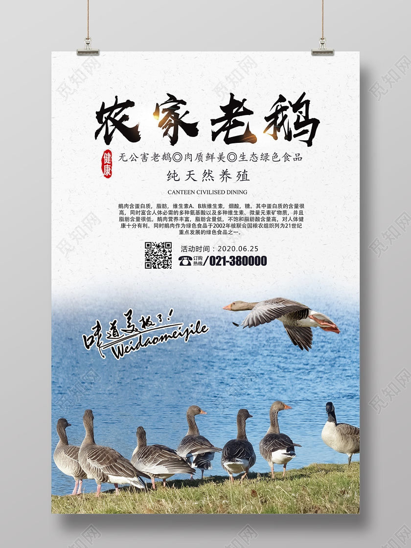 經(jīng)典美食老鵝的演變與探索之路