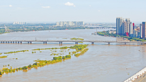 哈爾濱洪水最新動態，多方觀點分析與個人立場表述
