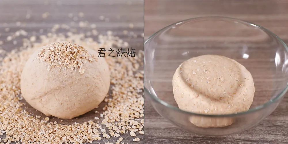 探索美食新潮魅力與價(jià)值,肥面包最新動(dòng)態(tài)報(bào)道