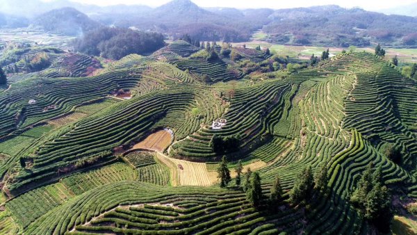 最新疫情消息，祁門縣疫情防控動態(tài)